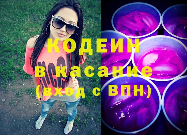 хмурый Алзамай