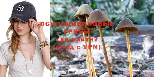 ешки Алексин